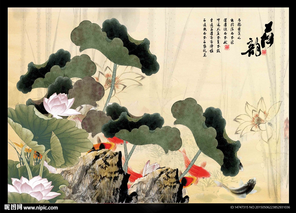 荷花国画
