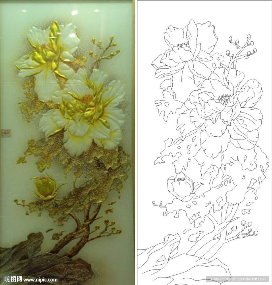 牡丹花
