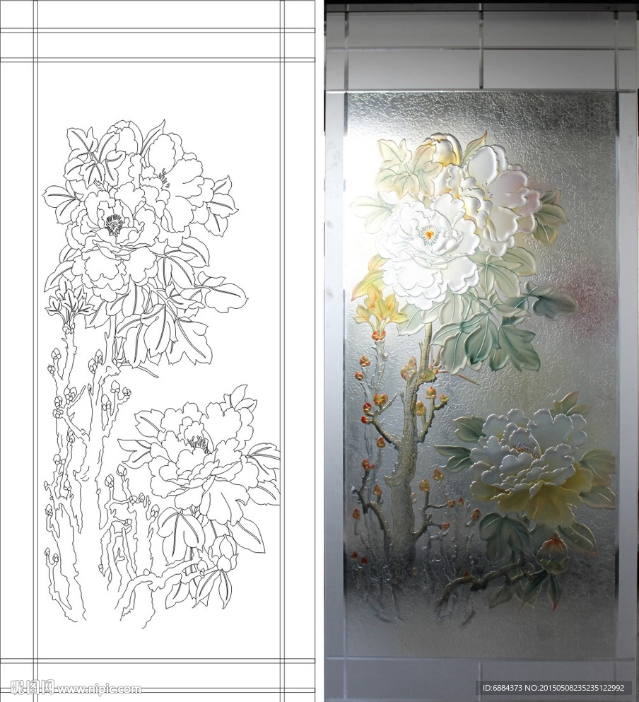牡丹花 月季花