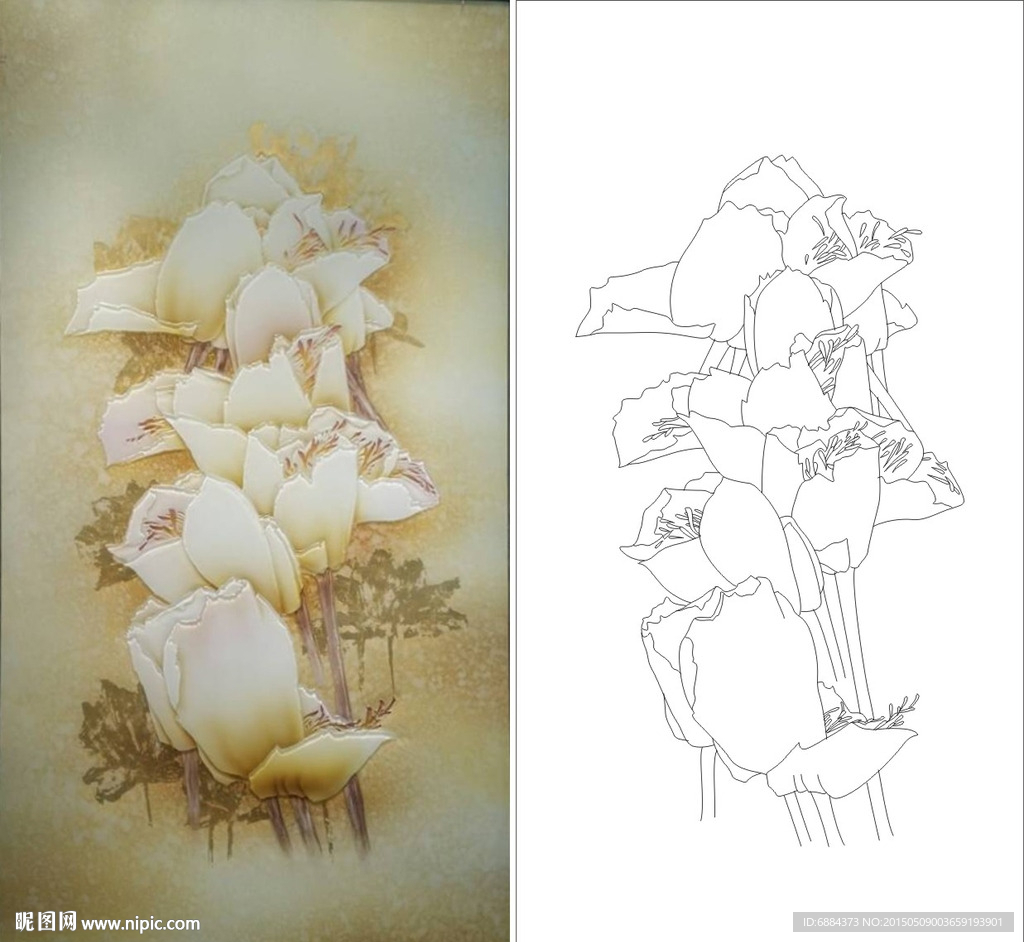 白花 抽象花