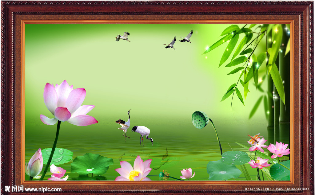 荷花图