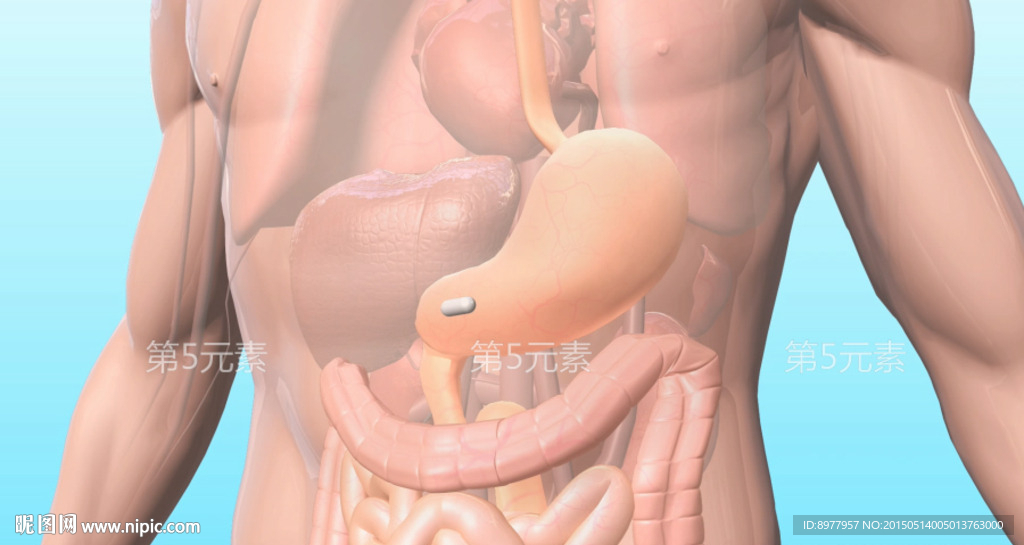 药物入胃