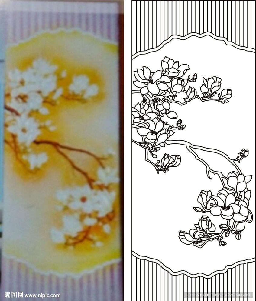 玉兰花