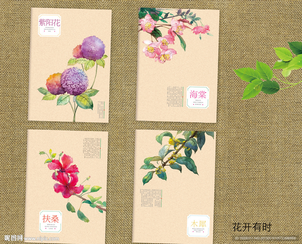 花开有时