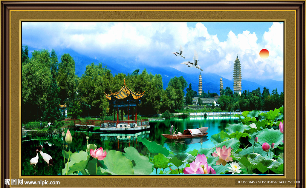 荷花风景