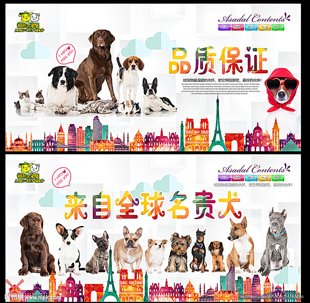 宠物犬