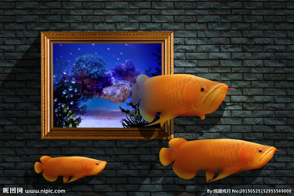 金龙鱼3D立体画背景