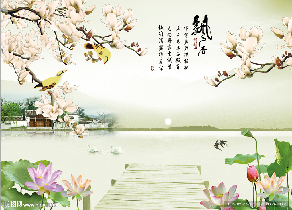 玉兰荷花
