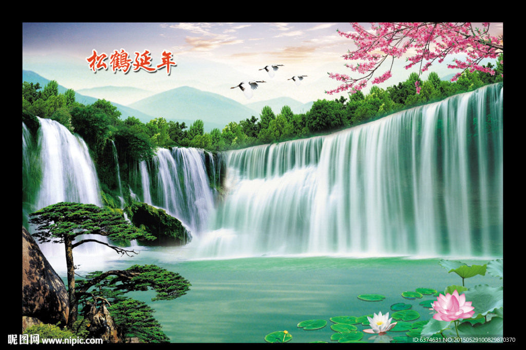 黄山迎客松