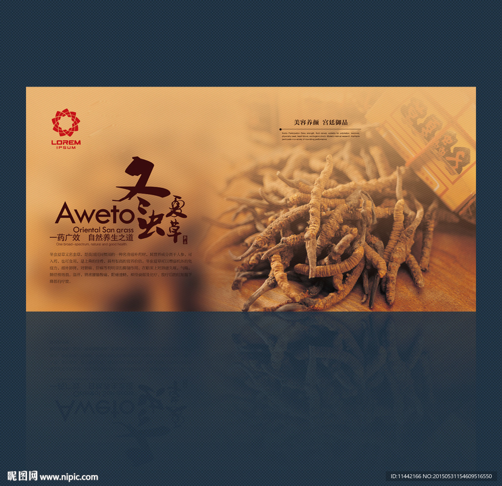 冬虫夏草创意海报