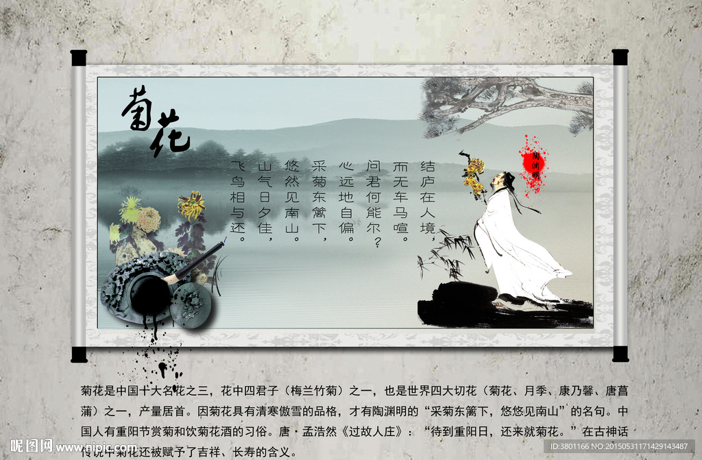 菊花