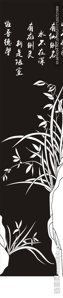 兰草 兰花 蝴蝶花 黑白图