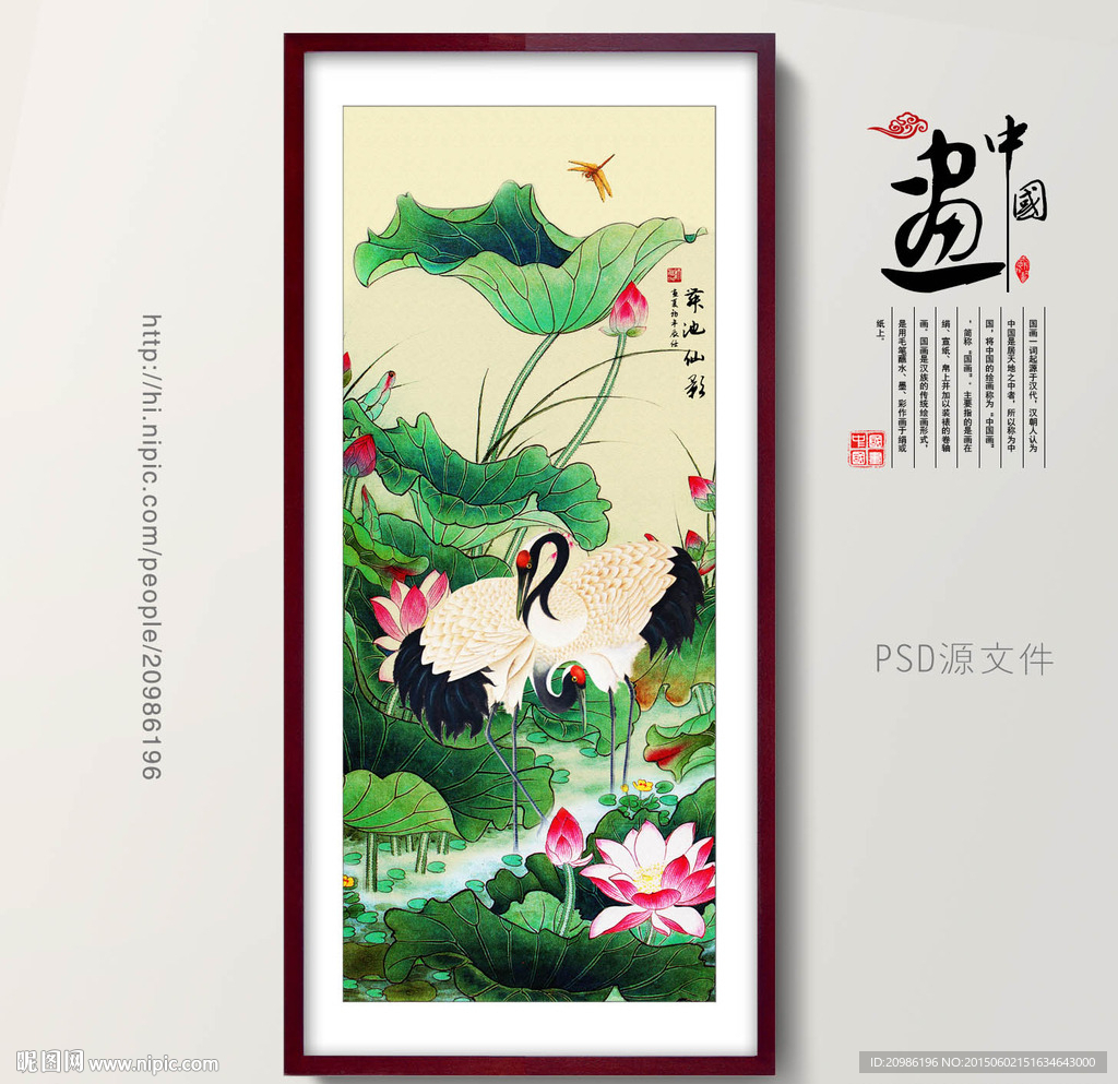 国画荷花
