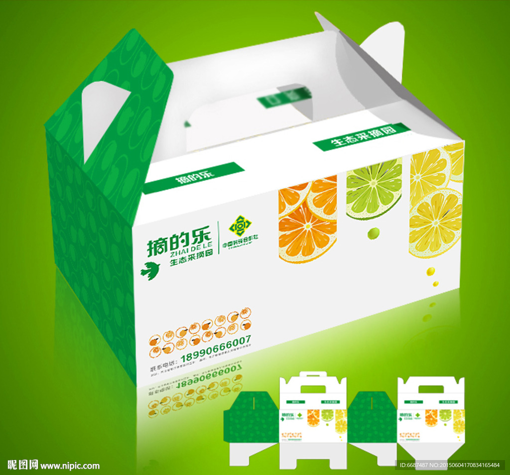 水果礼品包装 蔬果包装 手提箱