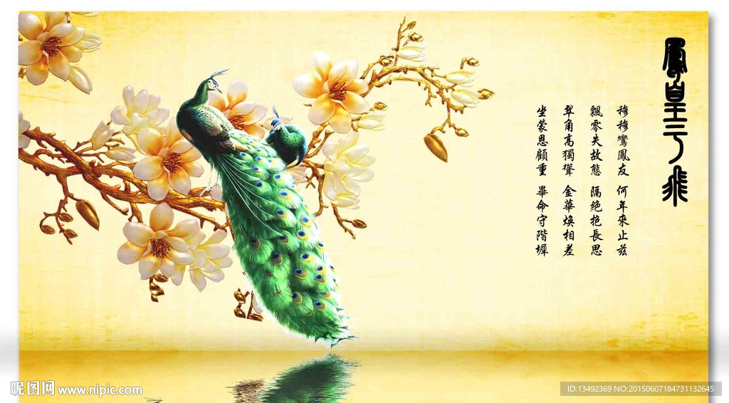 孔雀图