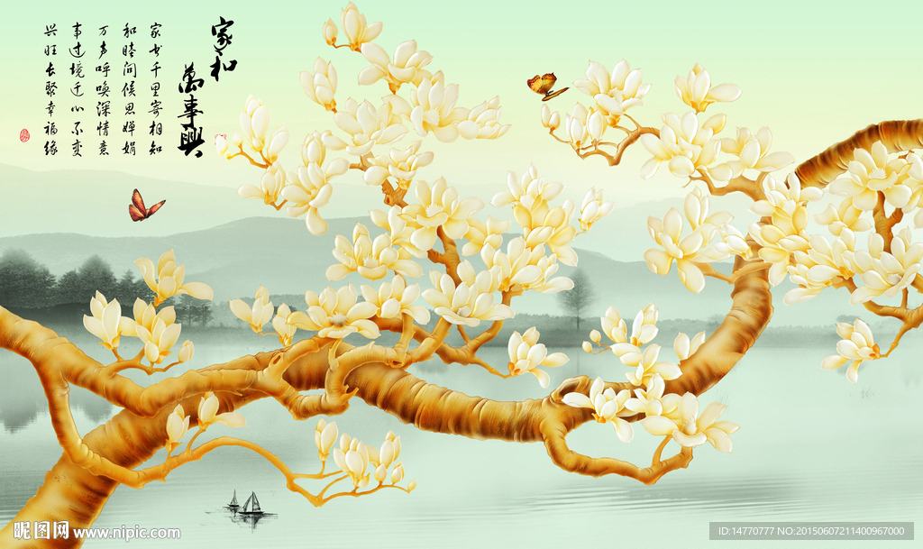 玉兰花