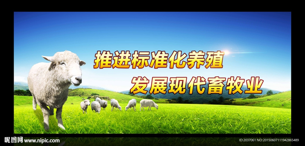 畜牧 养殖  农业展板