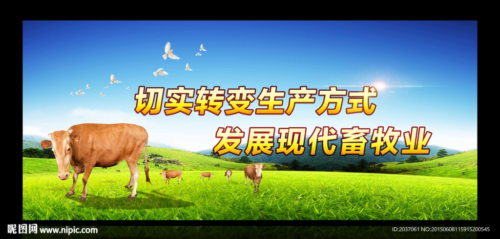 畜牧 养殖  农业展板