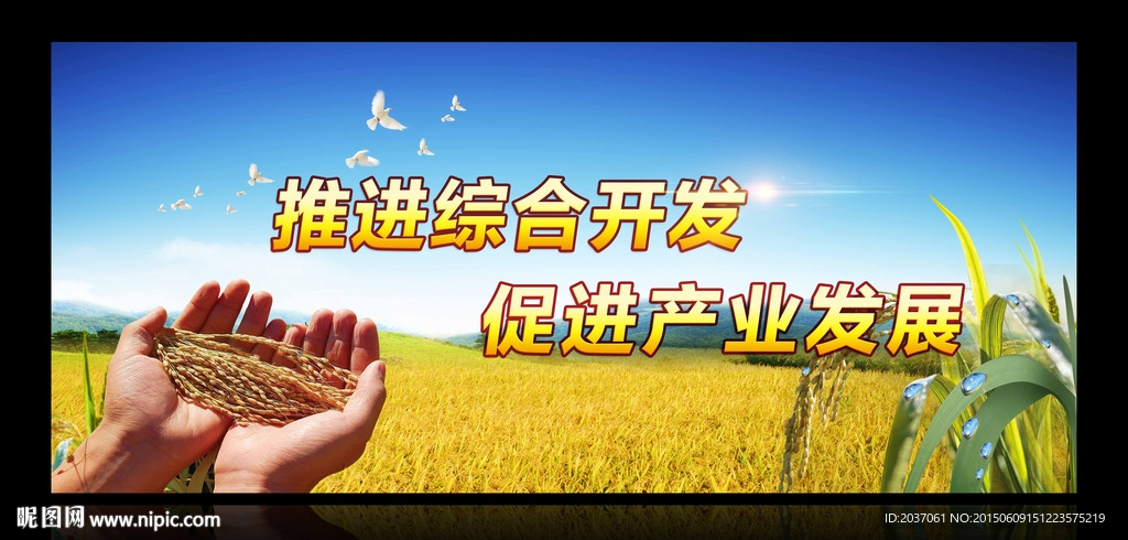 农业 三农展板