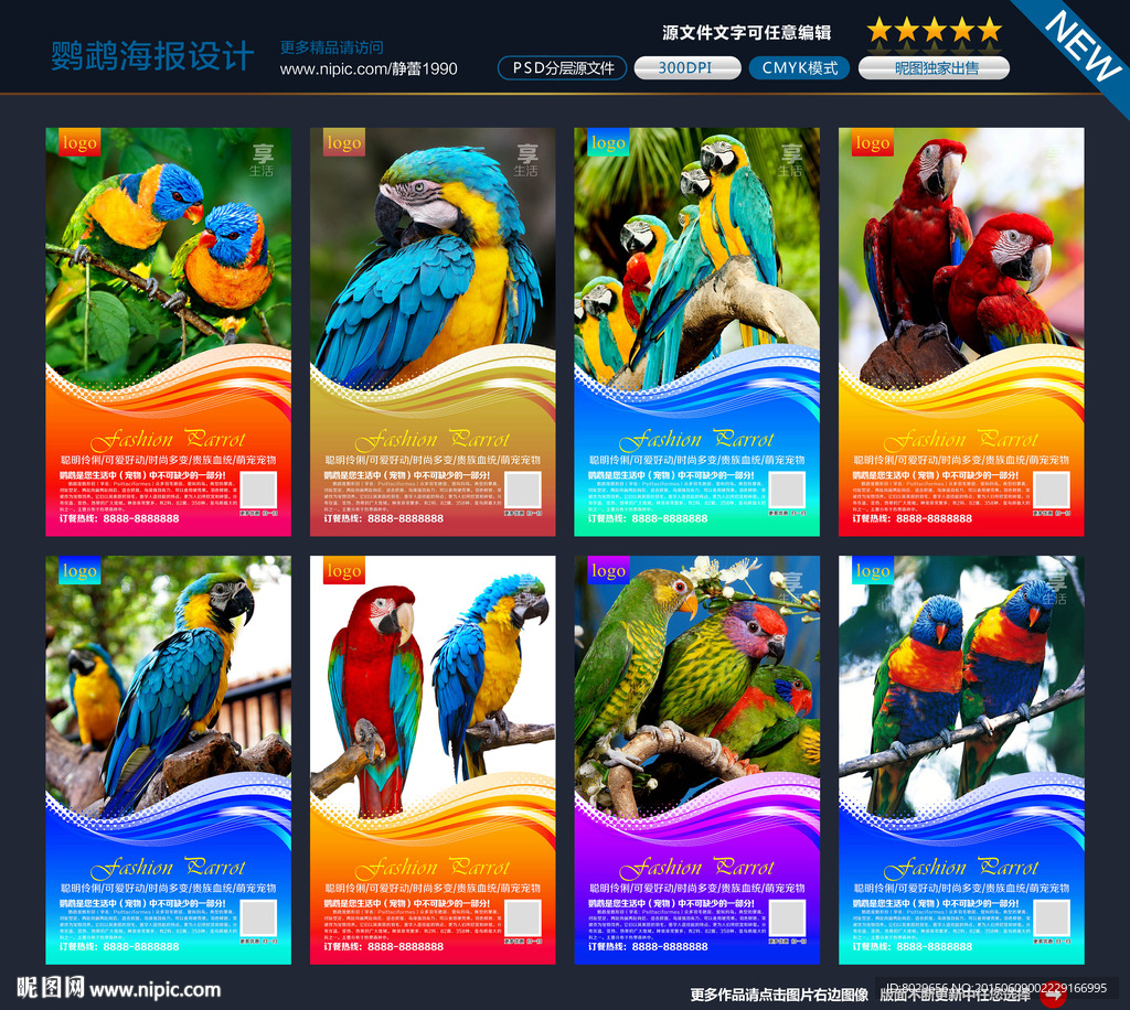 鹦鹉海报图片