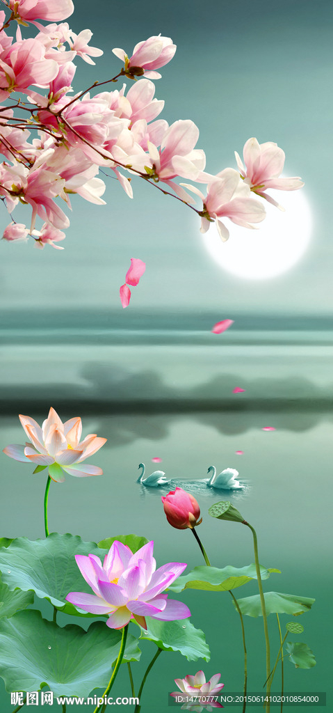 荷花玄关