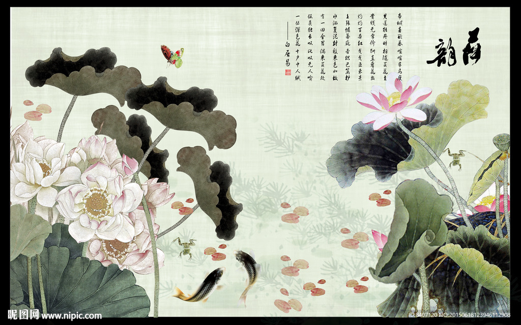 荷花国画
