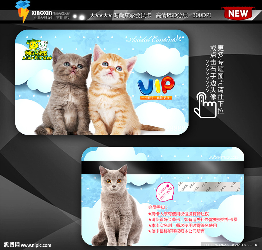可爱蓝色宠物猫咪会员卡