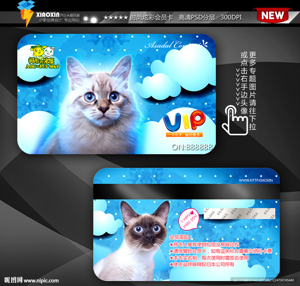 宠物猫咪会员卡