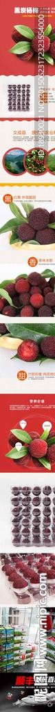 杨梅 详情页   水果  梅子