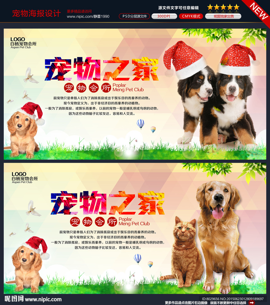 宠物海报
