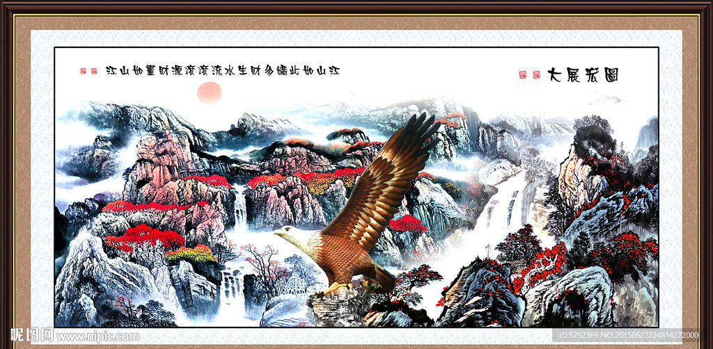 老鹰