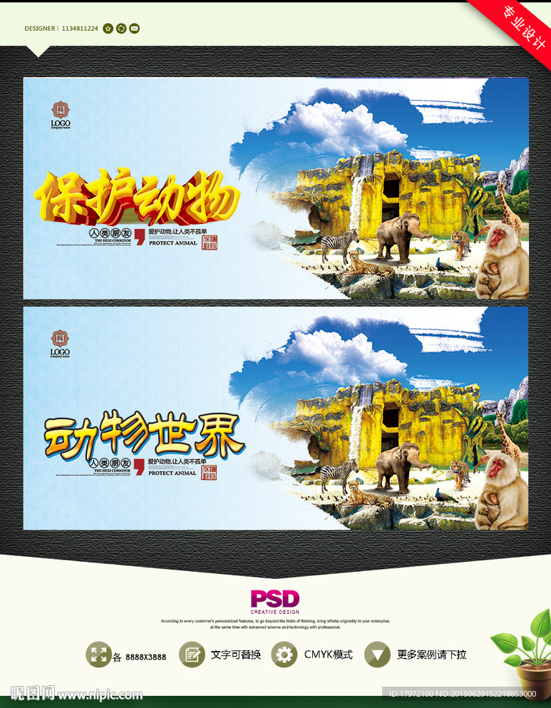 动物世界 保护动物