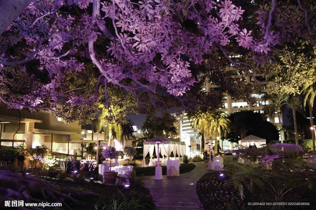 度假酒店夜景
