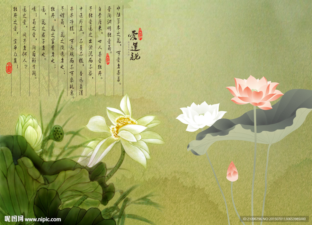中国风 荷花