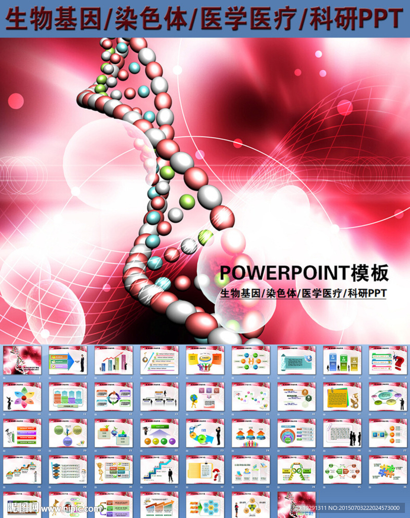 生物基因染色体医学医疗PPT