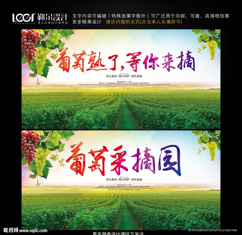 葡萄采摘节