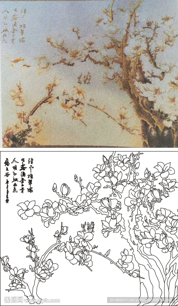 玉兰
