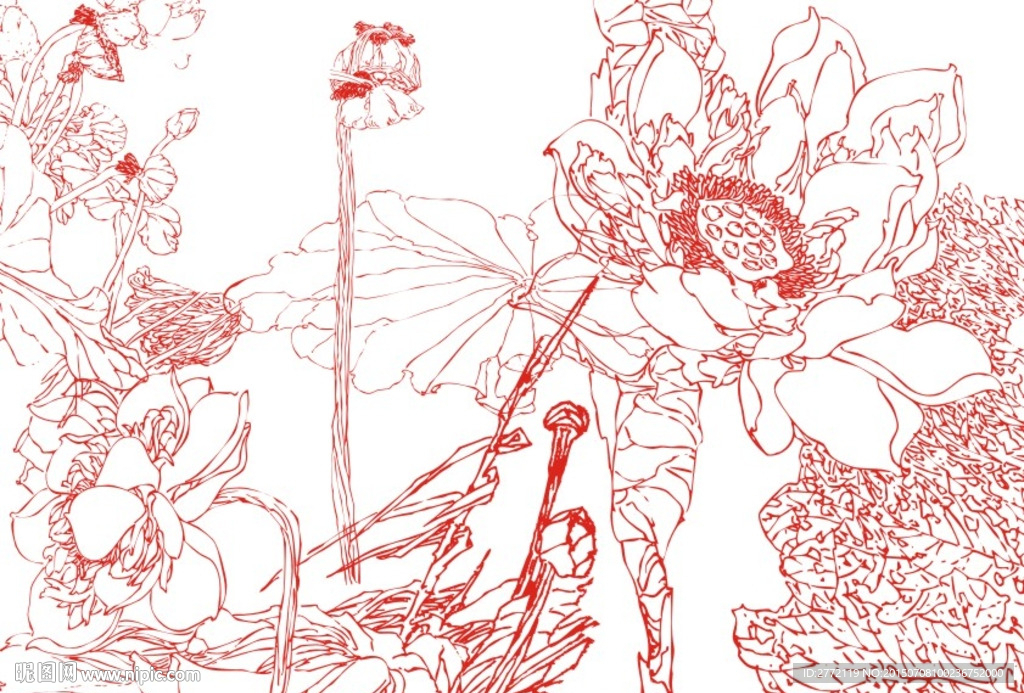 火红莲子 古代插画