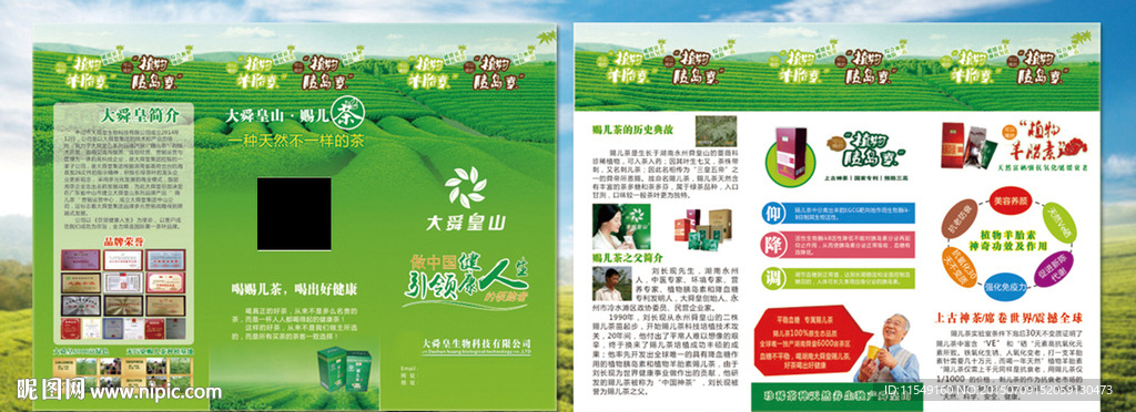 大舜皇山茶三折页
