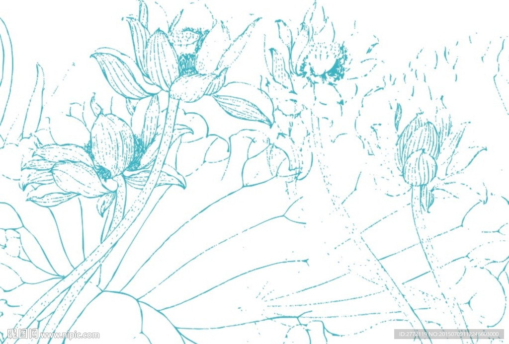花心荷莲 商业插画
