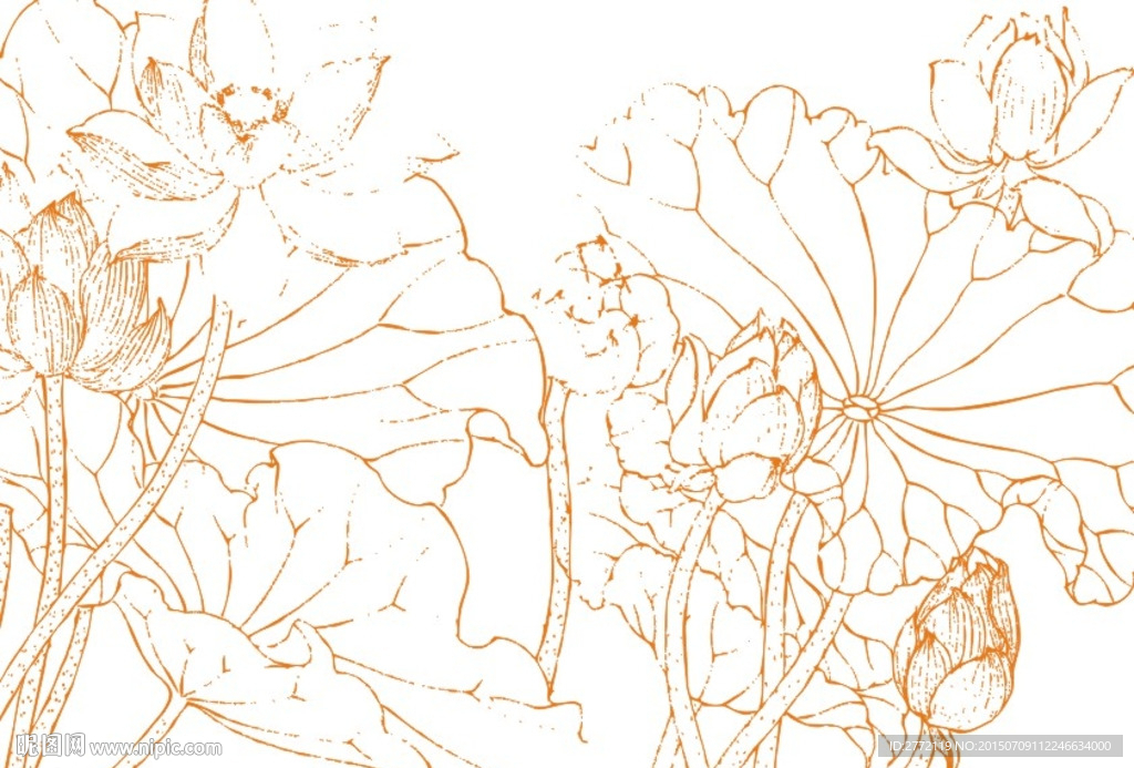 莲子花蕊 唯美插画