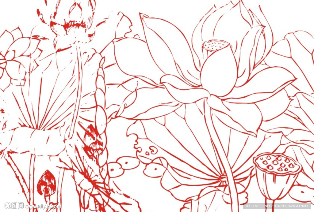 清新荷花香 工笔画