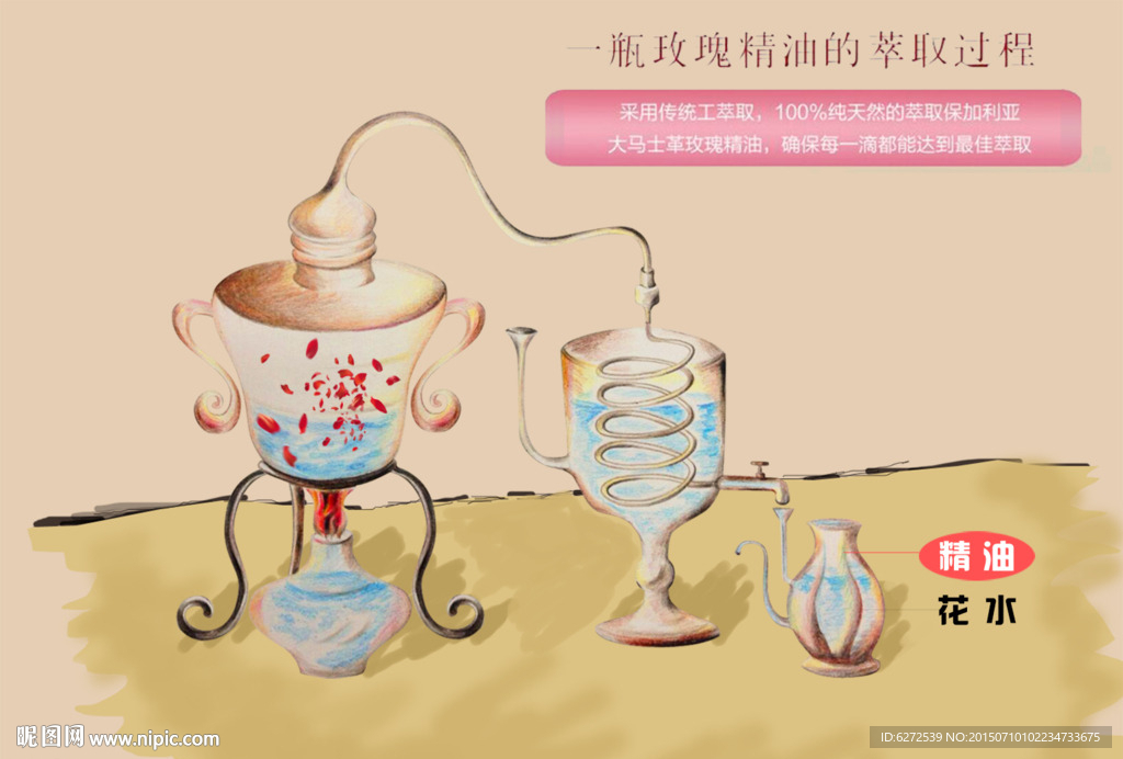 彩铅手绘玫瑰蒸馏流程图