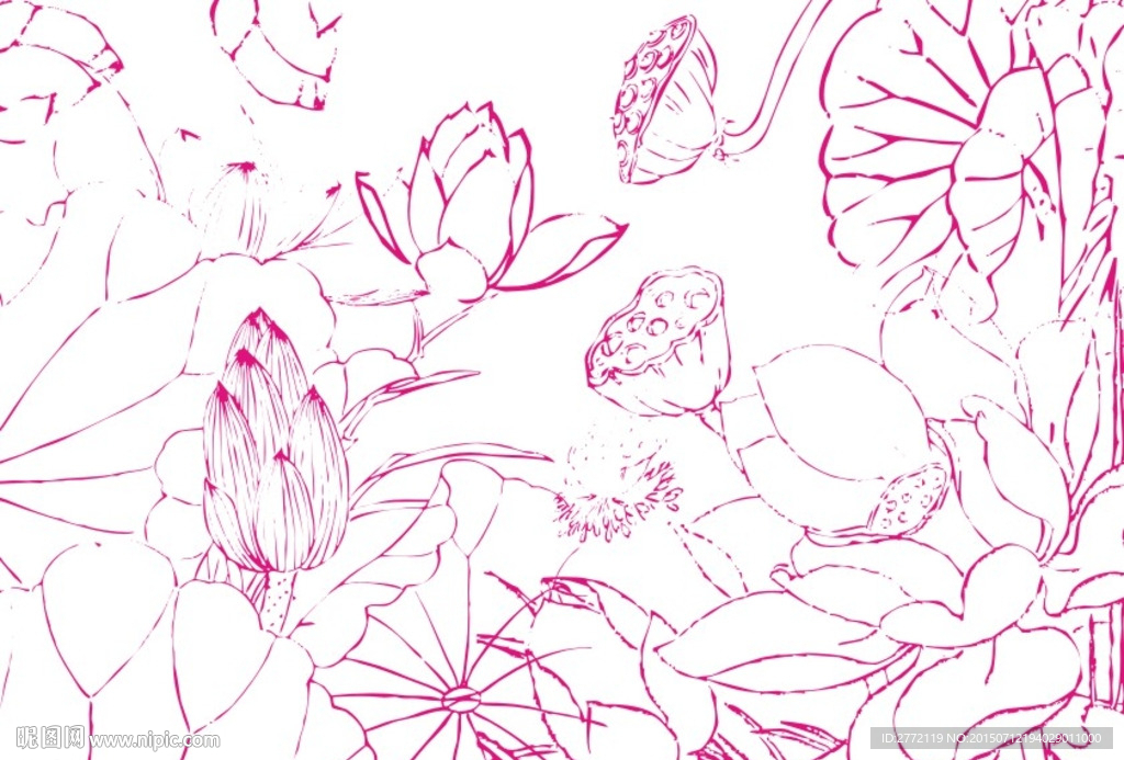 莲蓬绿叶 手描画