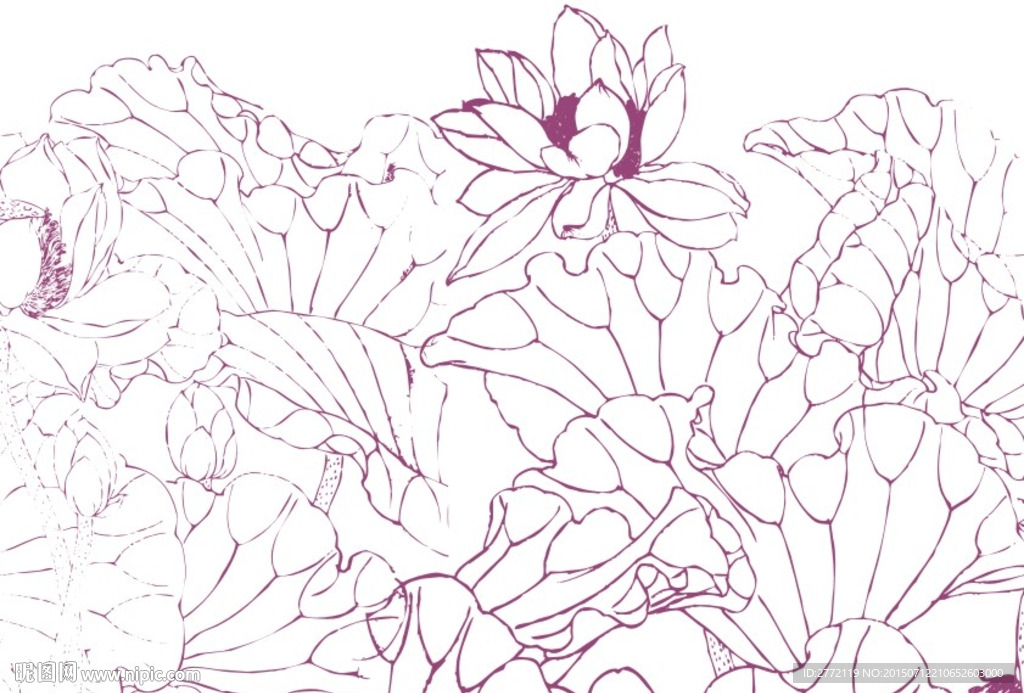 芙蓉花叶 手描画