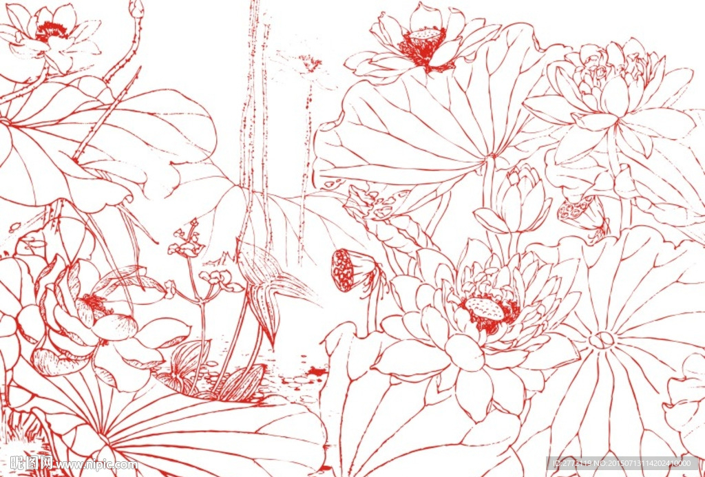 莲子红 素描画