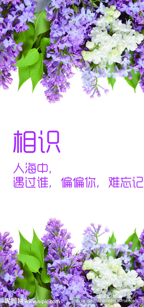 薰衣草