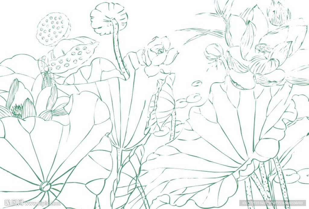 清清莲子 线条画