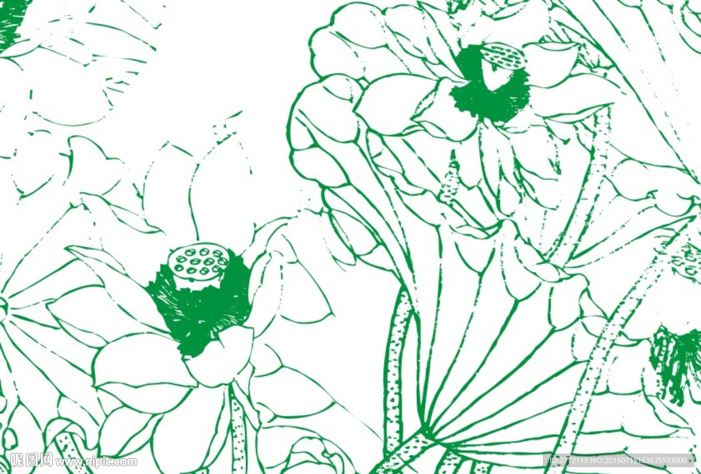 夏荷花妆 插画