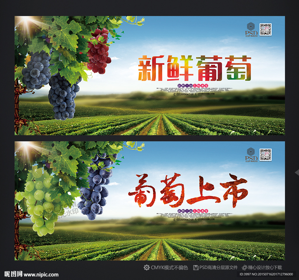 葡萄海报